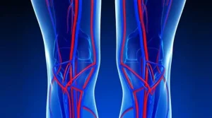 Illustrazione dei sistemi vascolari delle gambe con arterie in rosso e vene in blu, su sfondo blu scuro.