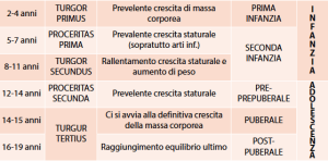 Tabella delle fasi di crescita dall’infanzia all’adolescenza, con indicazione dell’età, tipo di crescita e fase di sviluppo.