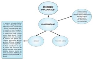 Diagramma sull’esercizio funzionale e la coordinazione, con collegamenti a esercizi propriocettivi, andature e catene muscolari.