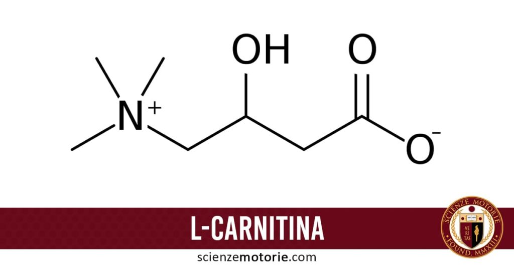l carnitine l tartrate melting point L-Carnitine L-Tartrate | 36687-82-8