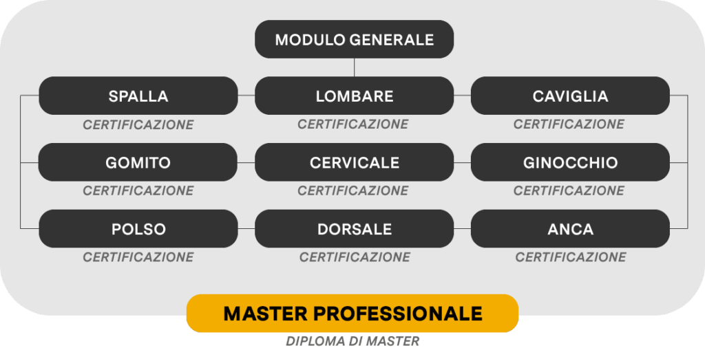 https://www.istitutoats.com/video-corsi/prevenzione-rieducazione-e-riatletizzazione/