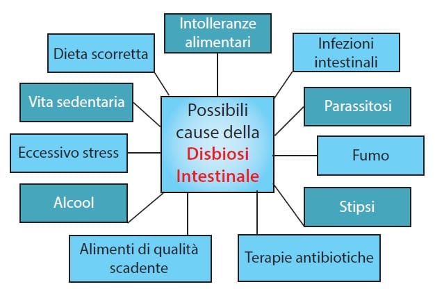 disbiosi intestinale
