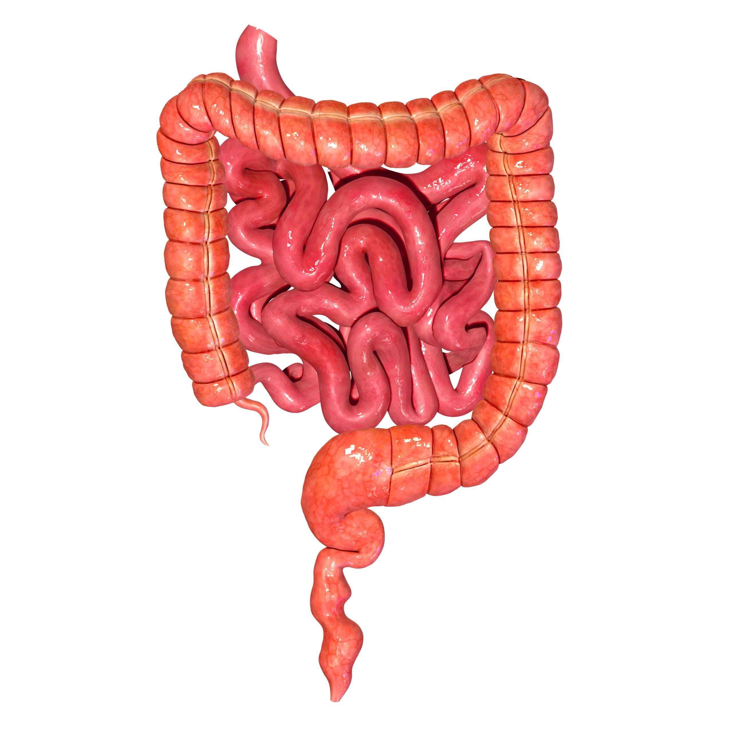 dolicocolon