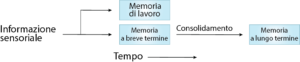 Informazioni