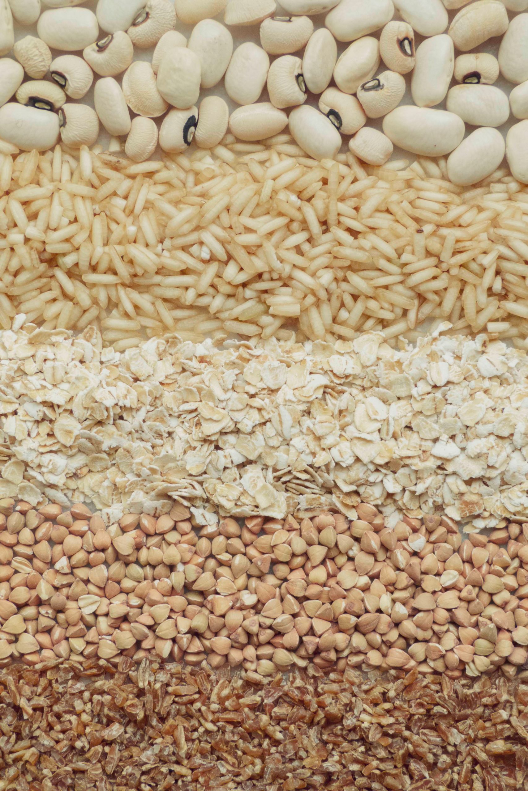 Alimenti contenenti vitamine del gruppo B