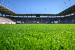Vista ravvicinata del campo da calcio con erba verde brillante e sfondo sfocato delle tribune di uno stadio illuminato dal sole.