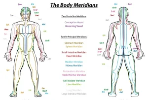 Illustrazione schematica dei meridiani energetici del corpo umano secondo la medicina tradizionale cinese, con figure frontale e posteriore e linee colorate.