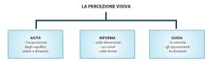 Tre diagrammi: il primo mostra l’analizzatore sensoriale dal recettore alle aree associative; il secondo classifica sensi interni ed esterni con sedi anatomiche e percezioni; il terzo illustra le funzioni della percezione visiva come equilibrio, informazione e guida al movimento.