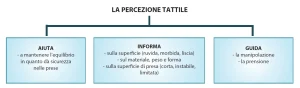 Cinque diagrammi sul sistema sensoriale: percorso dell’analizzatore, classificazione dei sensi interni ed esterni, funzioni della percezione visiva, uditiva e tattile.