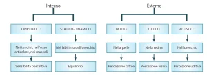 Due diagrammi: a sinistra l’analizzatore sensoriale con recettori, vie afferenti, centri sensoriali e aree associative; a destra la classificazione dei sensi interni ed esterni con le relative sedi anatomiche e percezioni.