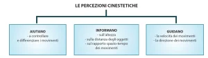 Sei diagrammi che illustrano il sistema sensoriale umano: percorso dell’analizzatore, classificazione dei sensi interni ed esterni, e funzioni integrate di visione, udito, tatto e cinestesia.