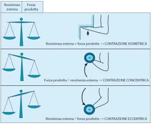 Diagramma che mostra i tre tipi di contrazione muscolare: isometrica (muscolo attivo senza movimento), concentrica (muscolo si accorcia vincendo resistenza), eccentrica (muscolo si allunga sotto resistenza).