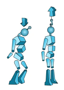 Confronto tra postura scorretta compressa e postura corretta allineata nella ginnastica posturale